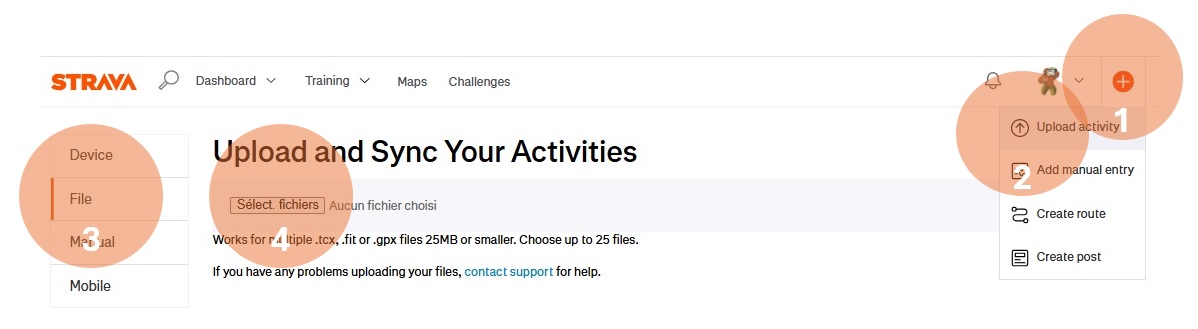 Strava import 1