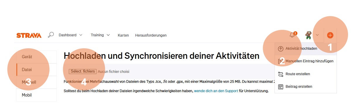 Strava-Import 1