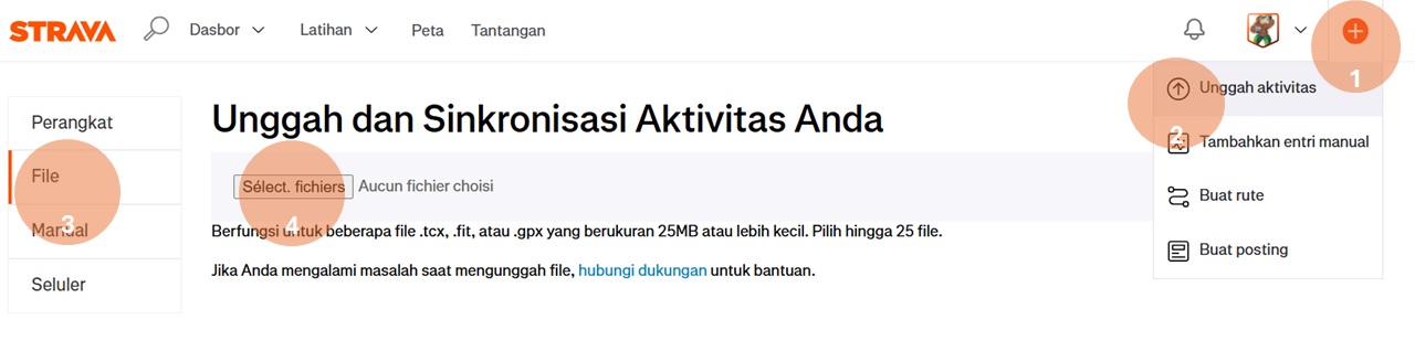 Impor Strava 1